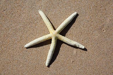 科幻恐怖游戏《木卫四协议》上线Steam 12月2日正式发售